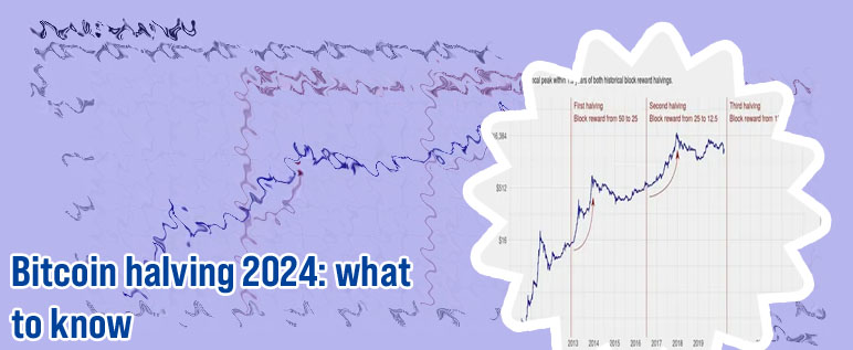 Bitcoin halving cycle