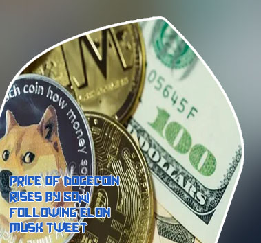 Cryptocurrency dogecoin stock