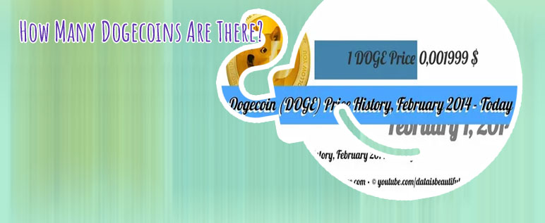 How much is one dogecoin worth