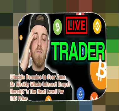 Moon coin crypto price