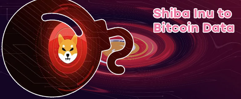 Shiba bitcoin