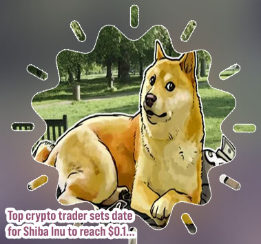 Shibu crypto