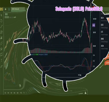 Solo price crypto
