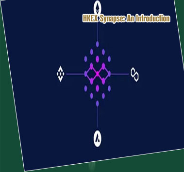 Synapse crypto