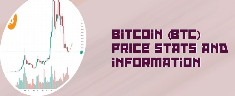 What is the value of 1 btc