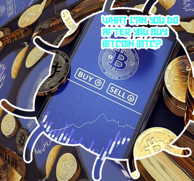 Where do you buy bitcoin