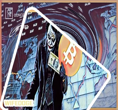 Wifedoge crypto